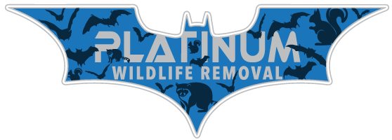 Cass County Wildlife Removal